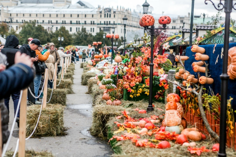 Both fish and meat! Gastronomic festival in Moscow!