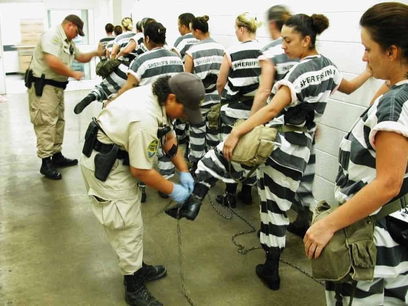 Bound in one chain: prisoner everyday life of female prisoners in one of the US prisons Bound in one chain: prisoner everyday life of female prisoners in one of the US prisons