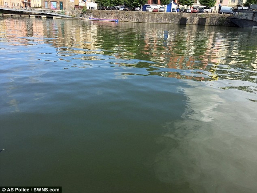 Bristol police prevented the wedding from breaking down by taking out a lost engagement ring from the bottom of the bay