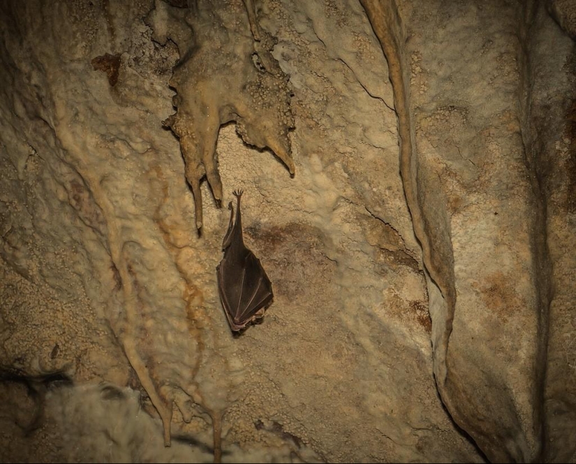 Bulgaria: Syeva Dupka Cave