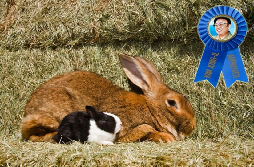 Burro frito, Pato Lucas y otras 8 cosas que le encantaron a Kim Jong Il Burro frito, Pato Lucas y otras 8 cosas que le encantaron a Kim Jong Il