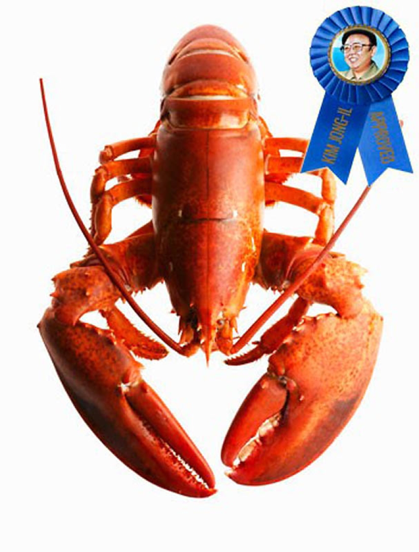 Burro frito, Pato Lucas y otras 8 cosas que le encantaron a Kim Jong Il Burro frito, Pato Lucas y otras 8 cosas que le encantaron a Kim Jong Il