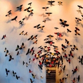 Butterflies as art Butterflies as art