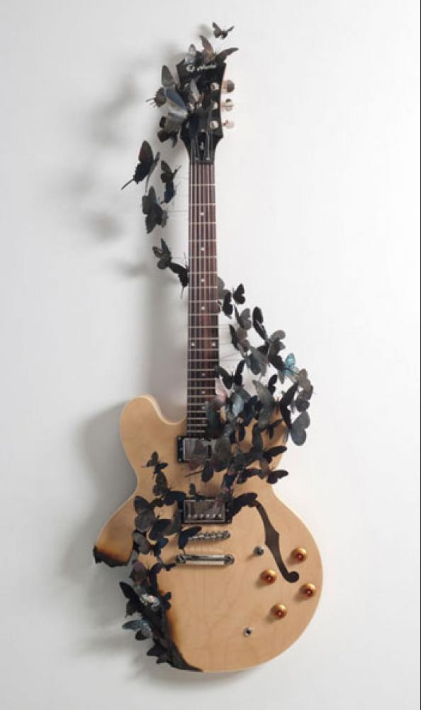 Butterflies as art