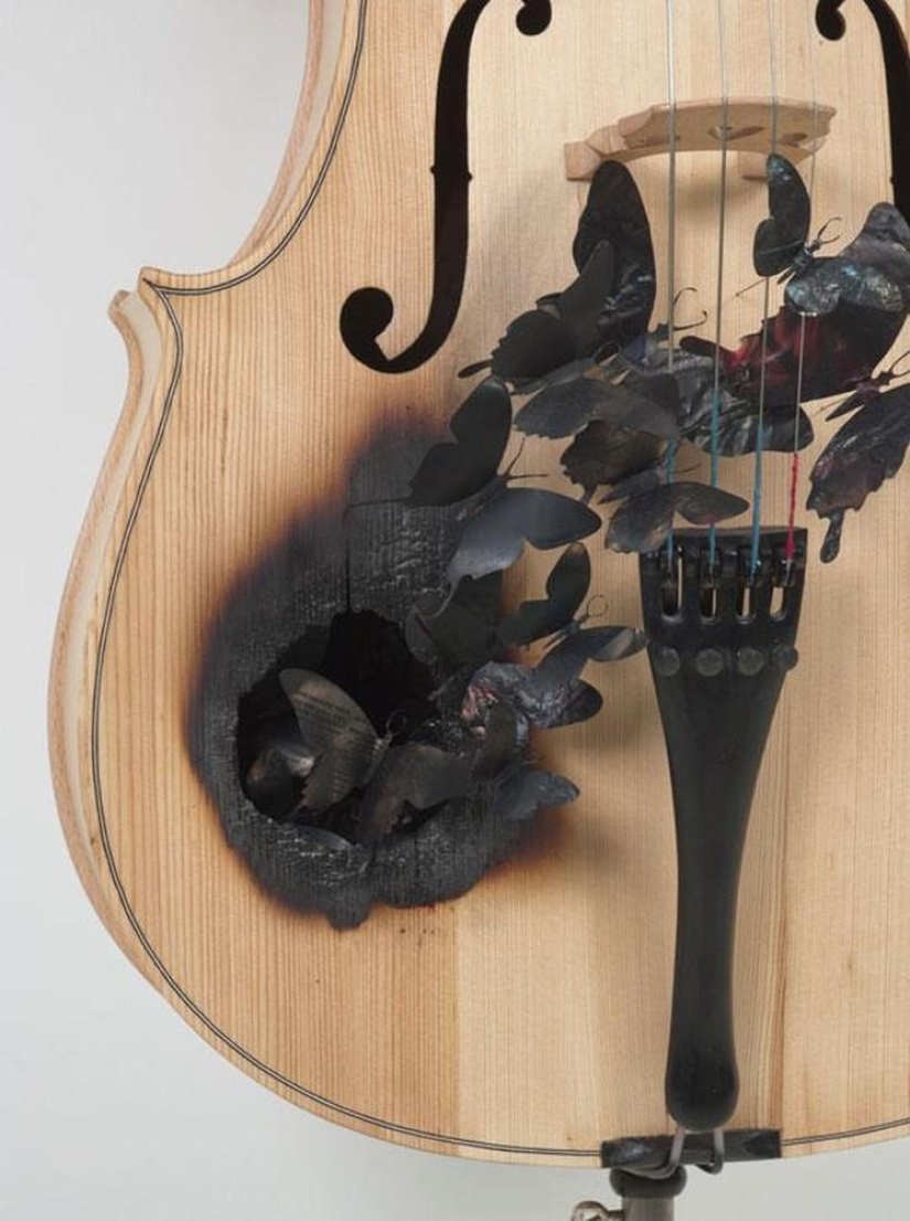 Butterflies as art