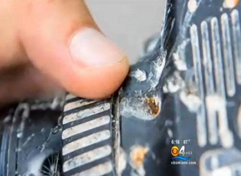 Camera eaten by alligator returned to owner after 8 months
