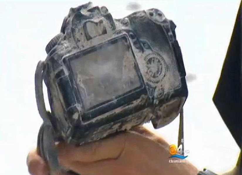 Camera eaten by alligator returned to owner after 8 months