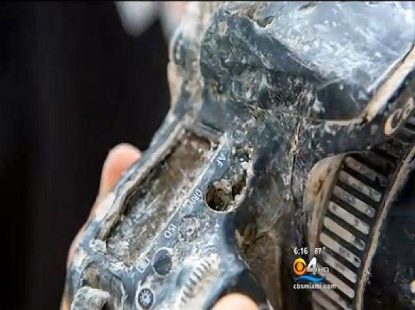 Camera eaten by alligator returned to owner after 8 months