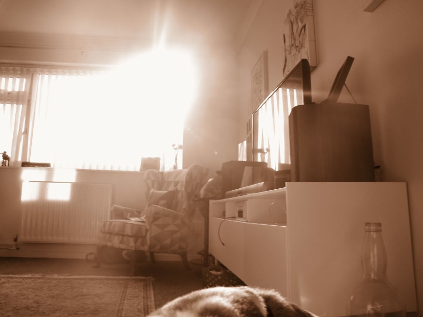 Caminando debajo de la mesa: la historia de un padre sobre cómo su bebé de 1,5 años aprendió a tomar fotos geniales