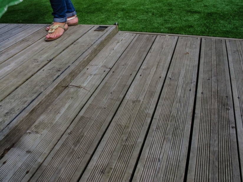 Caminando debajo de la mesa: la historia de un padre sobre cómo su bebé de 1,5 años aprendió a tomar fotos geniales
