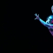 Campeonato Mundial de Pole Dance Campeonato Mundial de Pole Dance