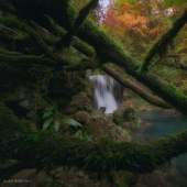Capturé el alma de Maramures en Rumania