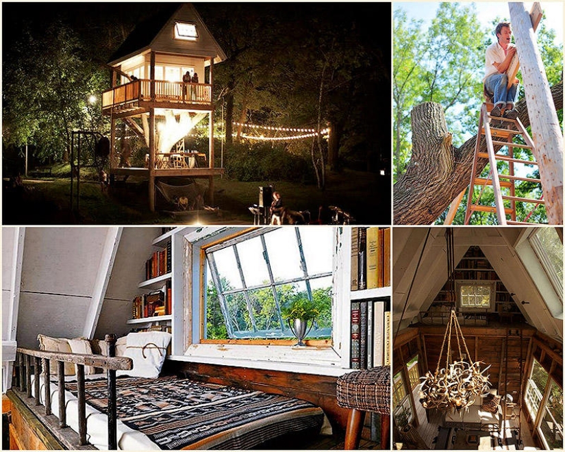 Casa del árbol para adultos Casa del árbol para adultos