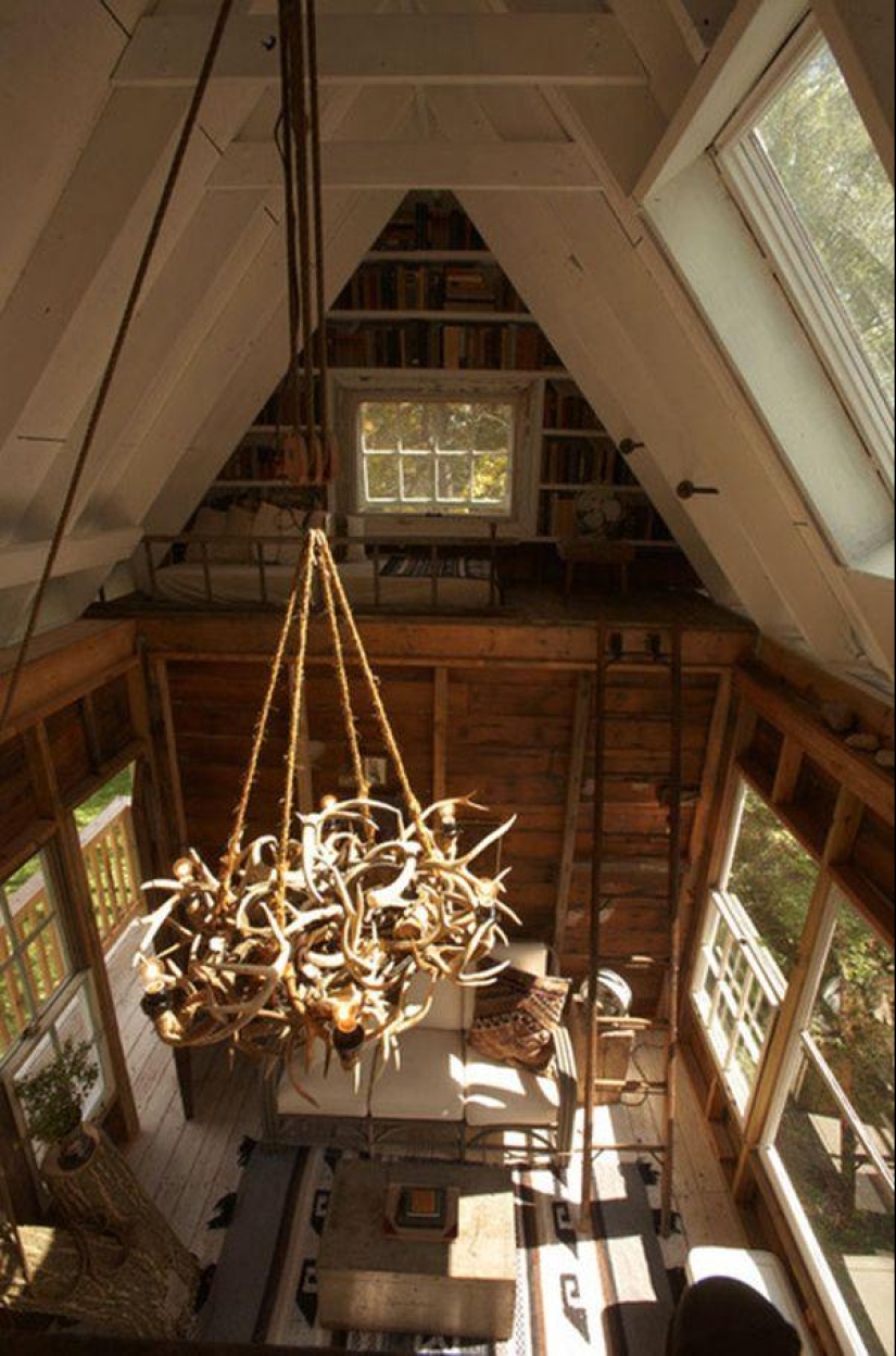 Casa del árbol para adultos Casa del árbol para adultos