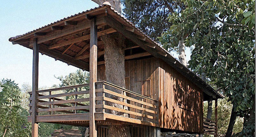 Casas Contenedores