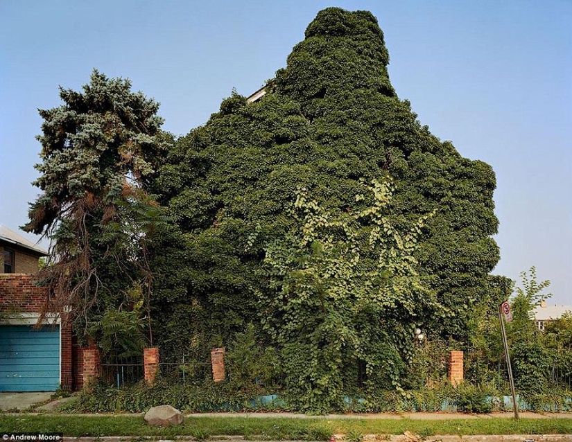 casas verdes