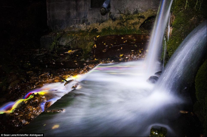 cascadas de neón