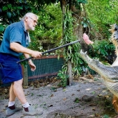 Cassius Clay - el cocodrilo más grande del mundo
