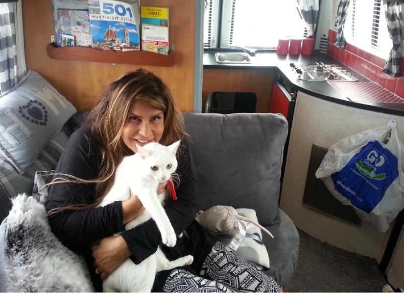 Cat traveling with its owners Cat traveling with its owners