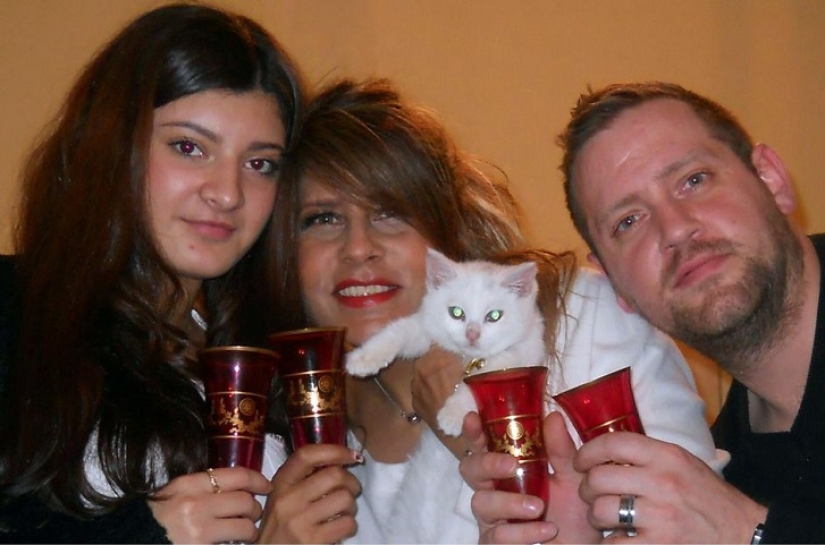Cat traveling with its owners Cat traveling with its owners
