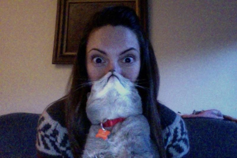 Catbeards - otro photomem