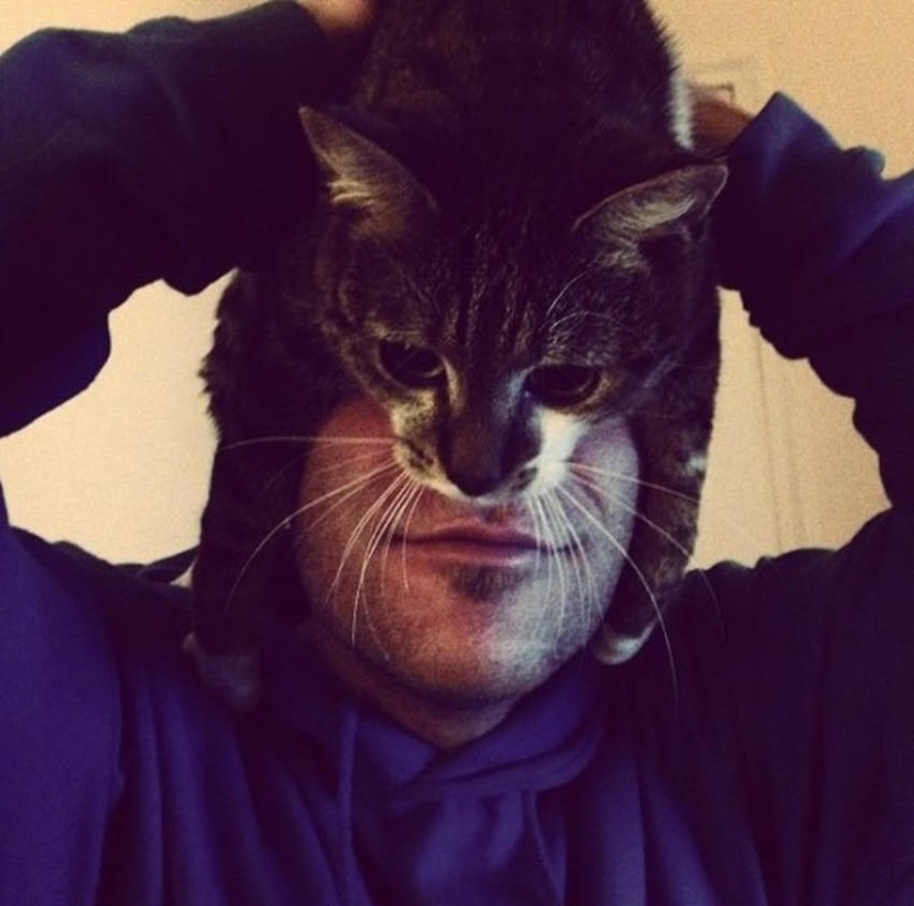 catman mania