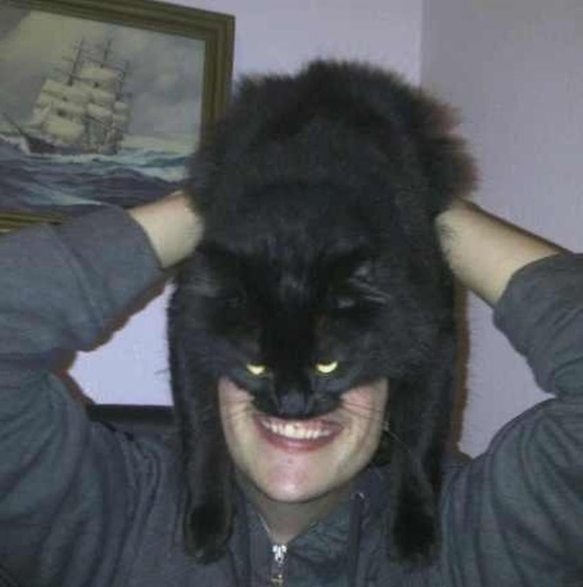 catman mania