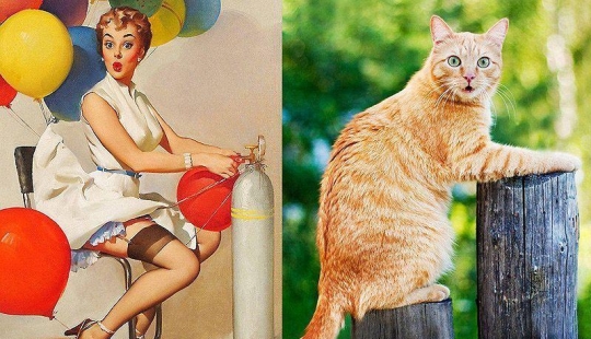 Cats and girls in pinup style