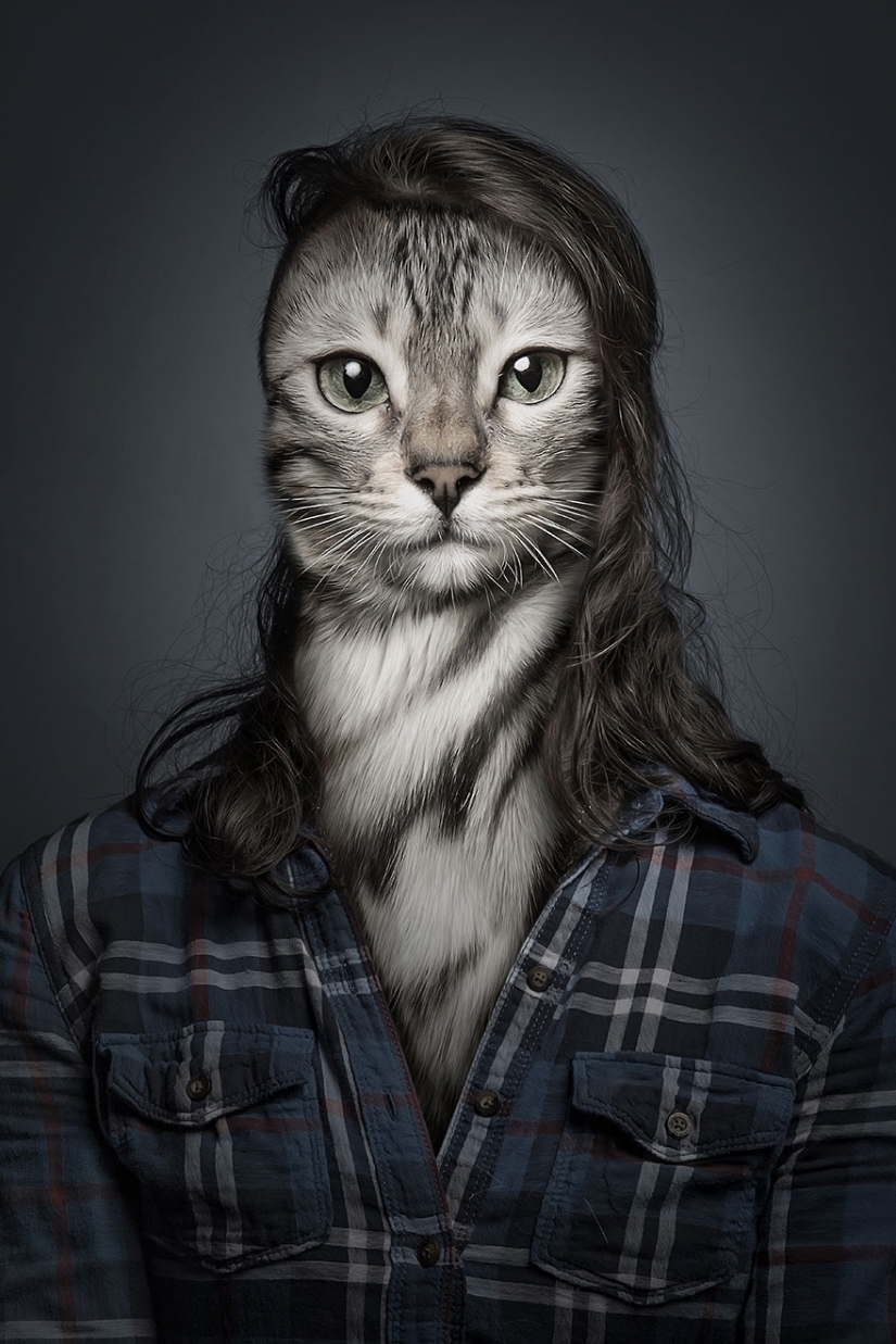 Cats and their owners: family look