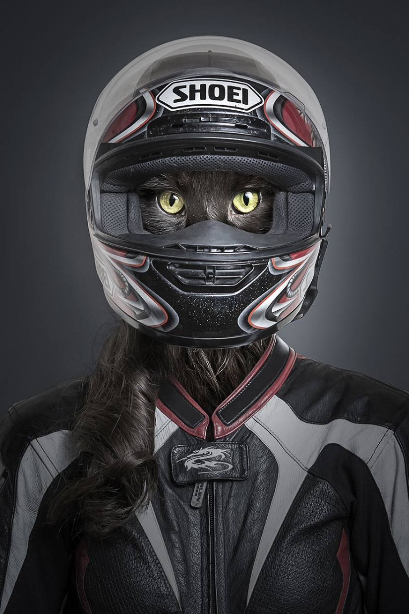 Cats and their owners: family look