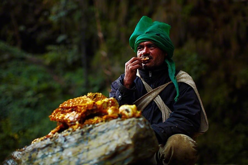 Cazadores de miel de Nepal Cazadores de miel de Nepal