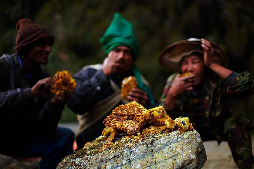 Cazadores de miel de Nepal Cazadores de miel de Nepal