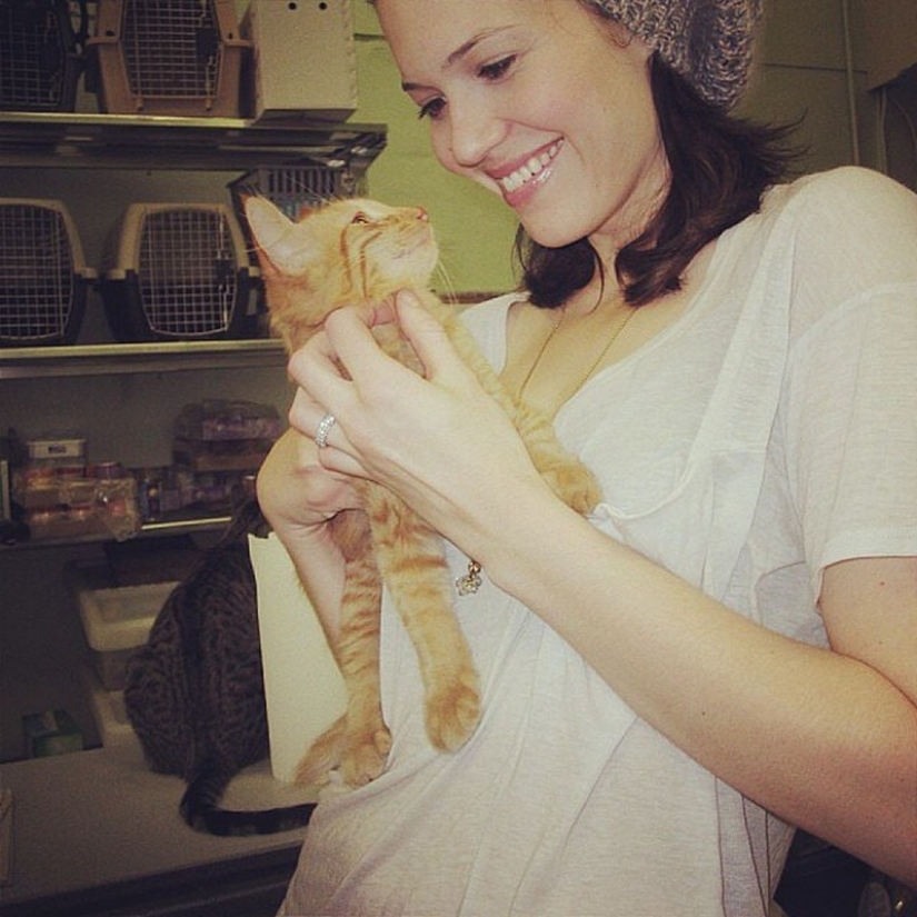 Celebrities obsessed with their pets Celebrities obsessed with their pets