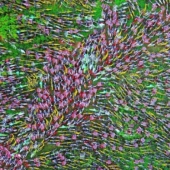 Cementerio de bicicletas: lo que llevó al uso compartido de bicicletas en China