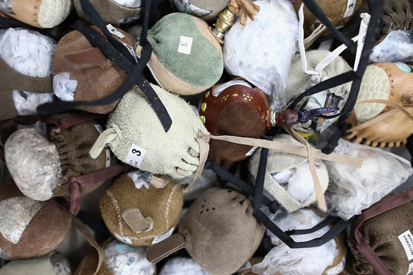 Cetrería en los Emiratos Árabes Unidos Cetrería en los Emiratos Árabes Unidos