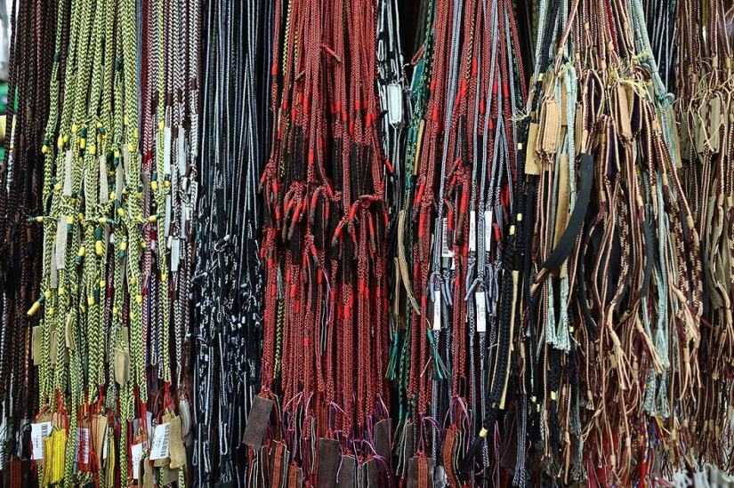 Cetrería en los Emiratos Árabes Unidos Cetrería en los Emiratos Árabes Unidos