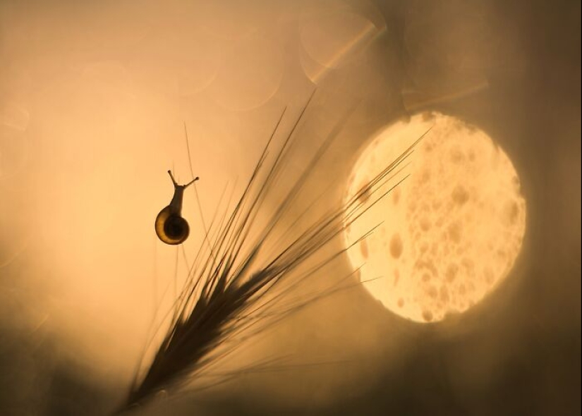 Chasing Light: A Collection Of My 10 Golden Hour Photographs