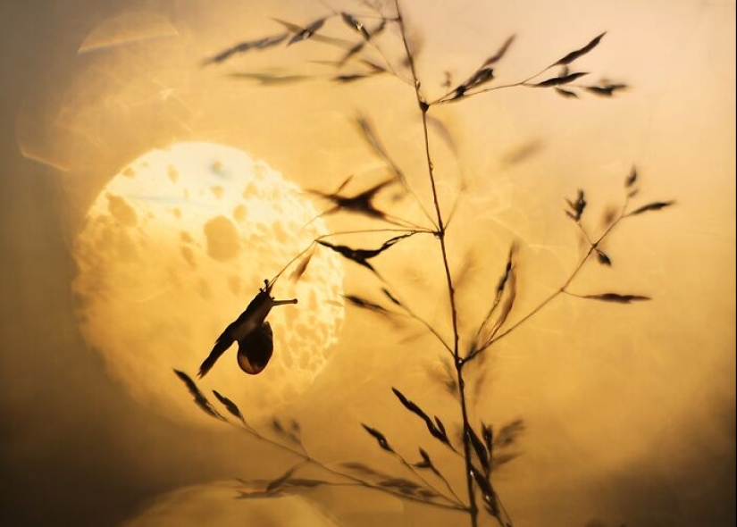 Chasing Light: una colección de mis 10 fotografías de la hora dorada
