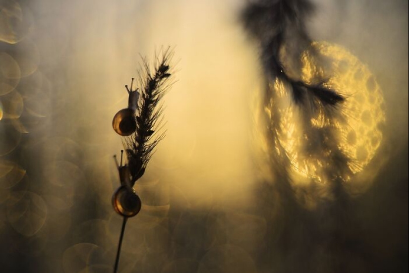 Chasing Light: una colección de mis 10 fotografías de la hora dorada