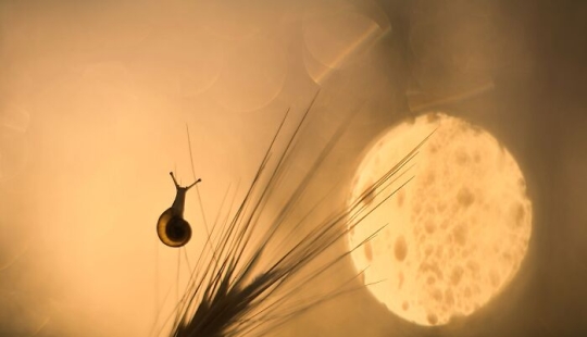 Chasing Light: una colección de mis 10 fotografías de la hora dorada