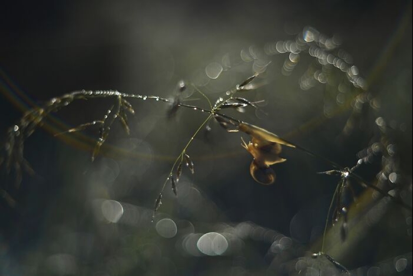 Chasing Light: una colección de mis 10 fotografías de la hora dorada
