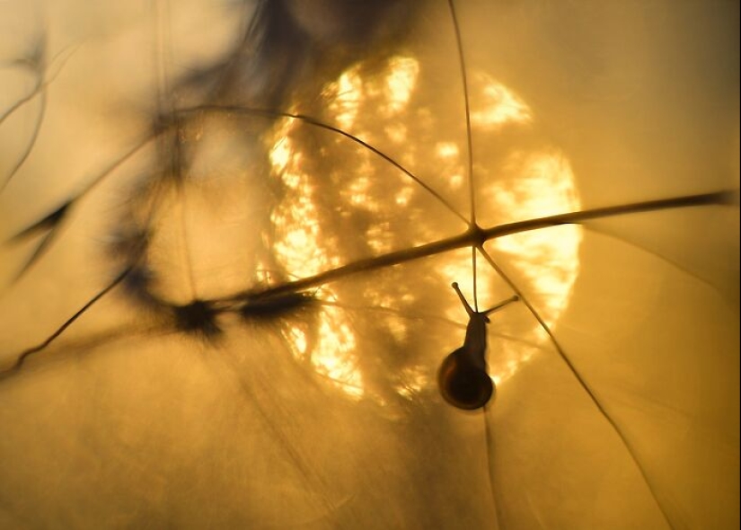 Chasing Light: una colección de mis 10 fotografías de la hora dorada