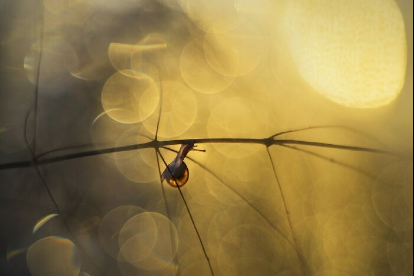 Chasing Light: una colección de mis 10 fotografías de la hora dorada