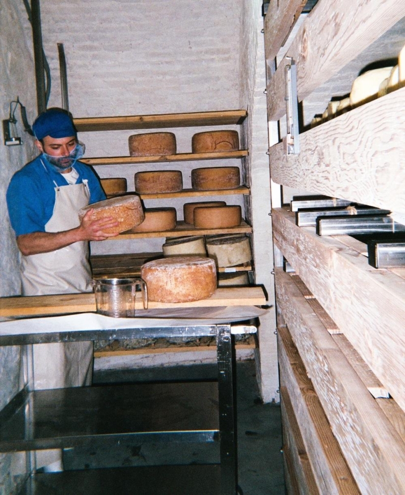 Cheese Hole: One day in the life of a Brooklyn cheese maker Cheese Hole: One day in the life of a Brooklyn cheese maker