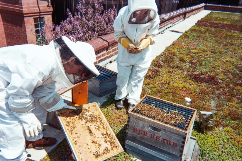Cheese Hole: One day in the life of a Brooklyn cheese maker Cheese Hole: One day in the life of a Brooklyn cheese maker