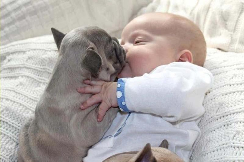 Child and puppies. Outrageous cuteness post Child and puppies. Outrageous cuteness post