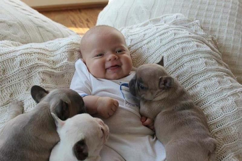 Child and puppies. Outrageous cuteness post Child and puppies. Outrageous cuteness post