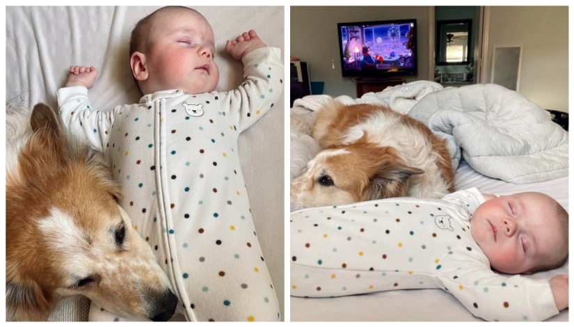 Children are a real joy, and here are 22 proofs