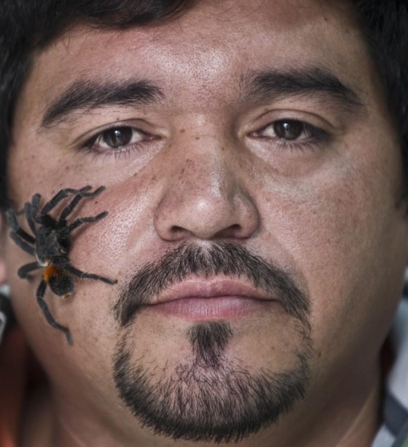 Chilean spider farm Chilean spider farm