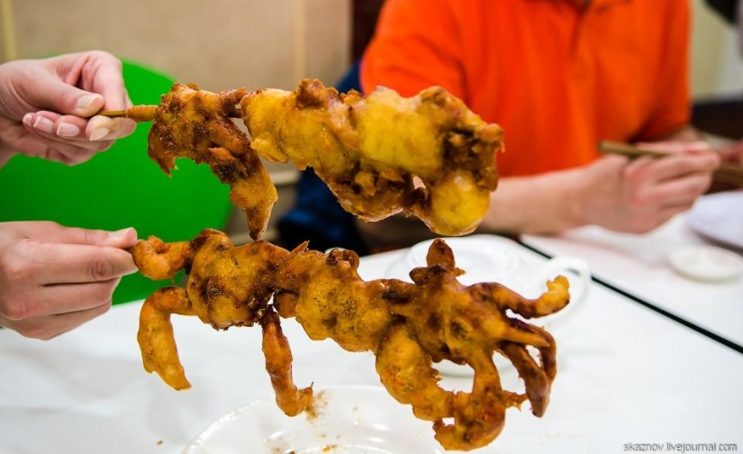 China gastronómica China gastronómica